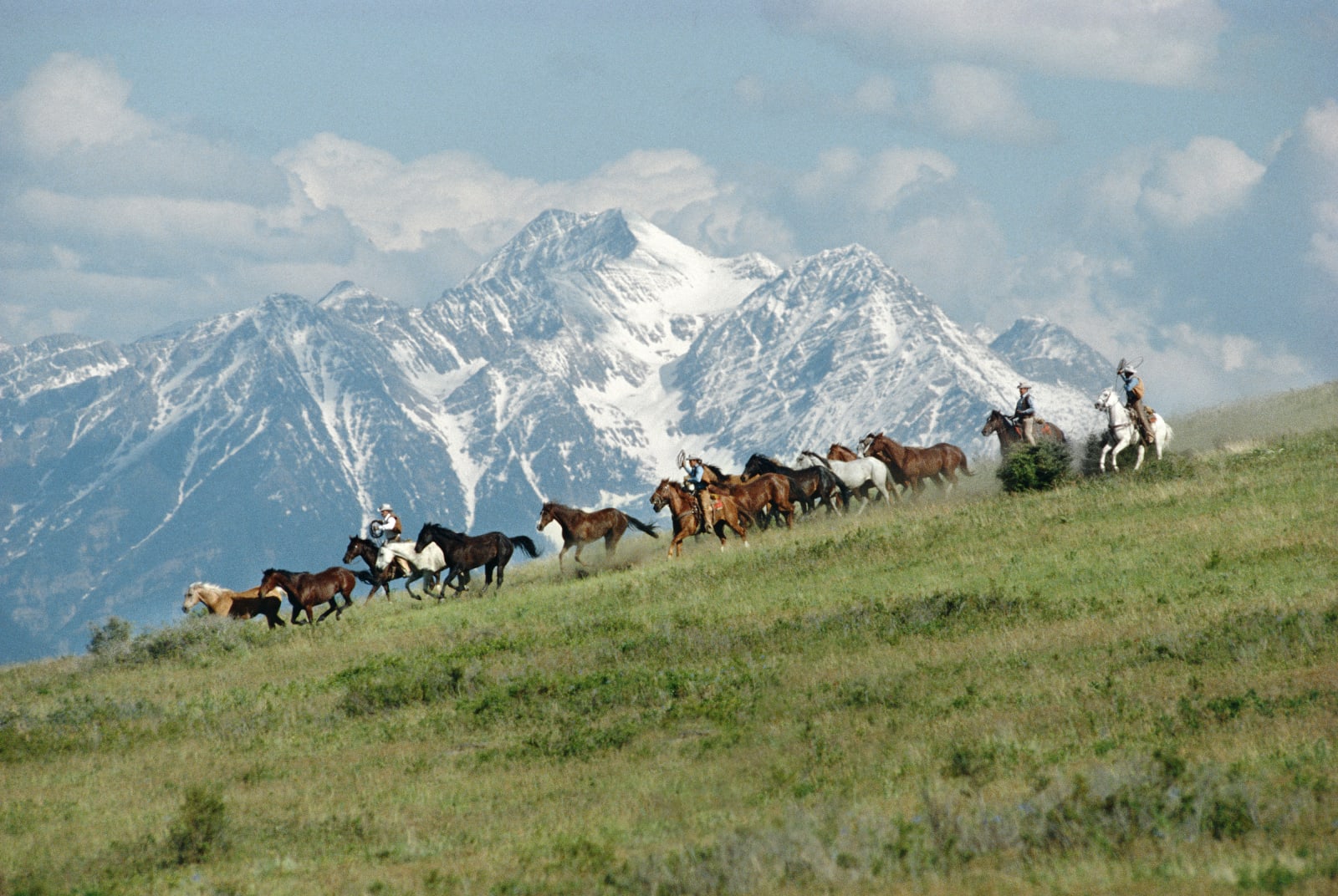 Norm Clasen, Kootenai Hill, Polson, MT, 1988