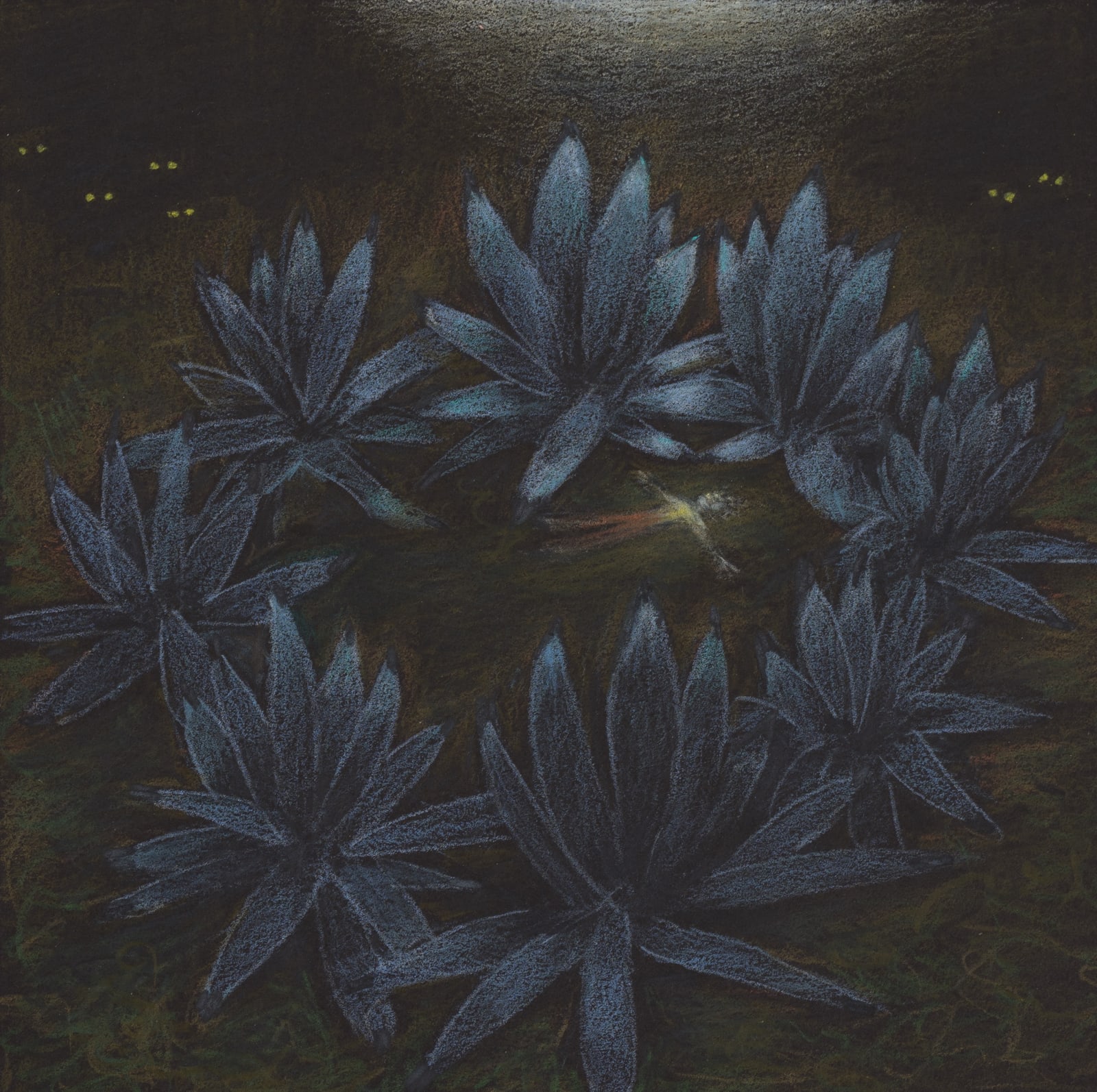 Elizabeth Shull, Safety, 2021