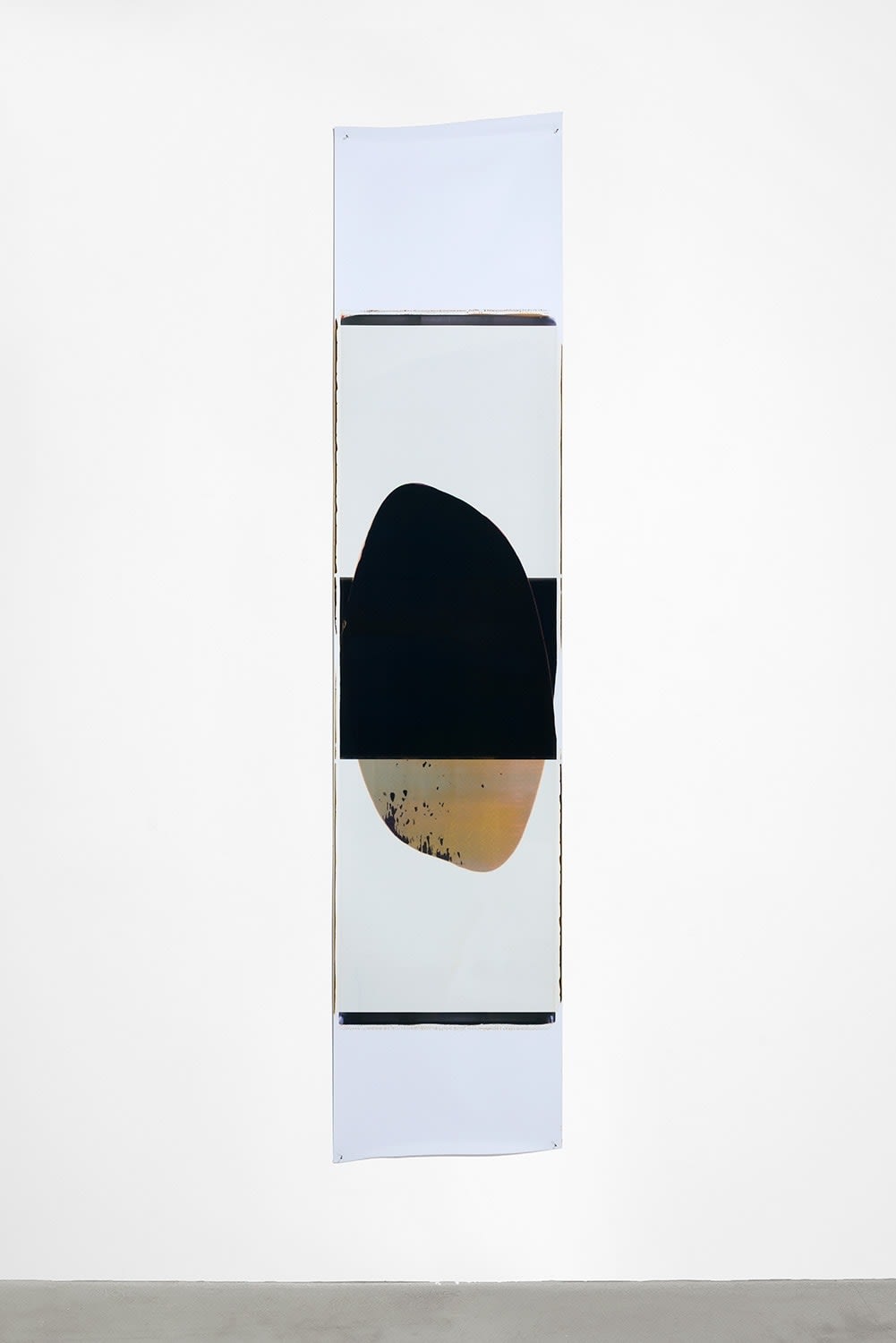 Ellen Carey, Pull with Rollback, 2007