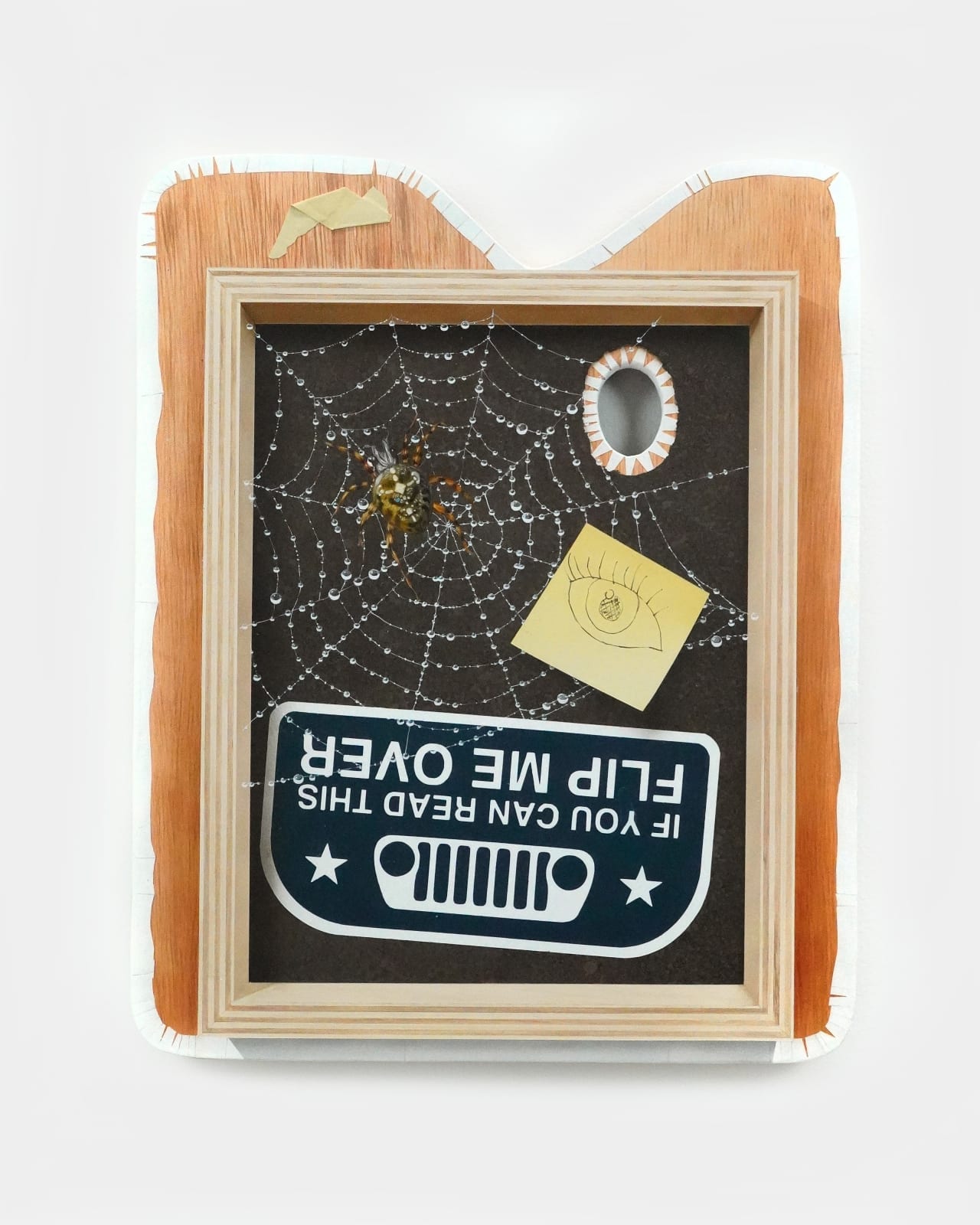 Katelyn Ledford, Flip Me Over, 2023