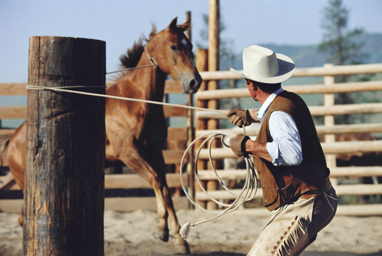 Norm Clasen, Unbroken, Polson, MT, 1988