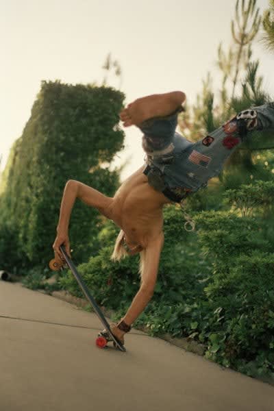 Hugh Holland, Toppling Bull, Hollywood Hills, 1975