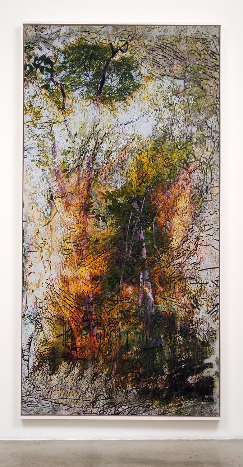 Matthew Brandt, Wai'anae 92451, 2015