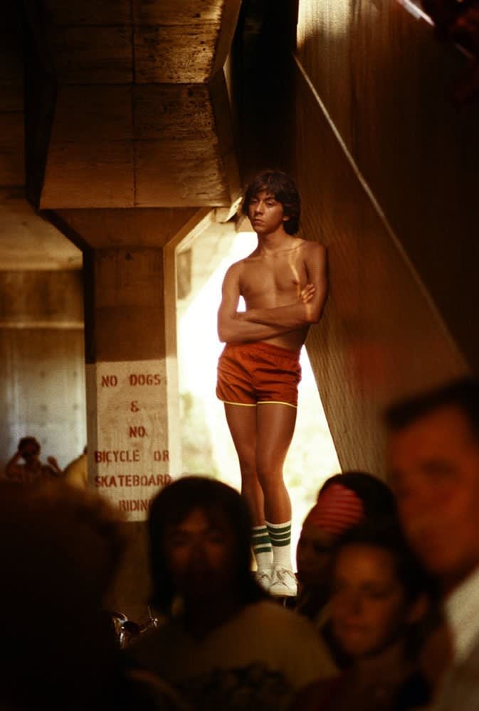 Hugh Holland, No Dogs, 1976