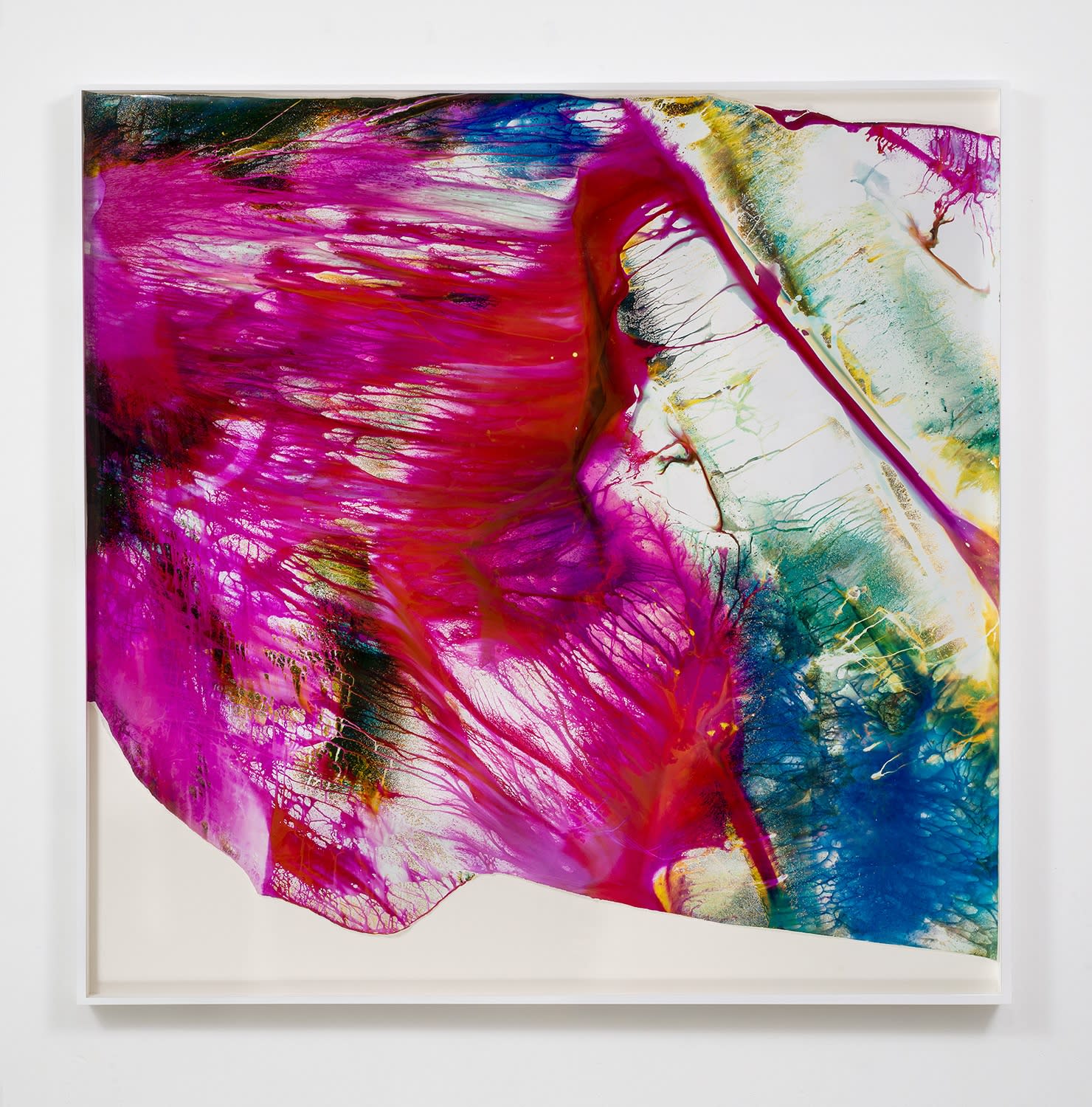 Mariah Robertson, 265, 2014
