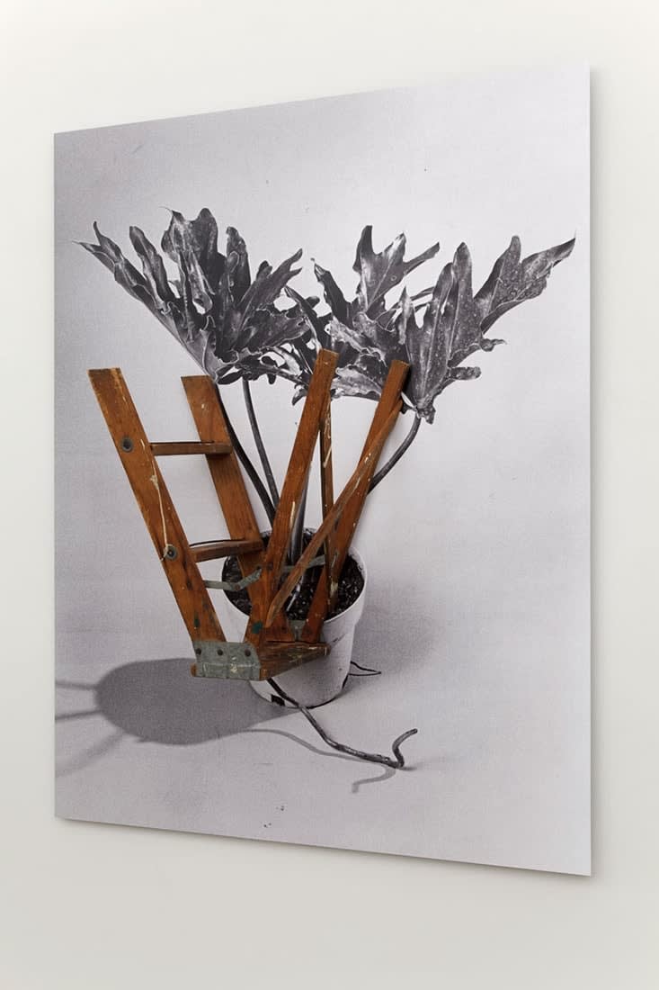 Marlo Pascual, Untitled, 2013