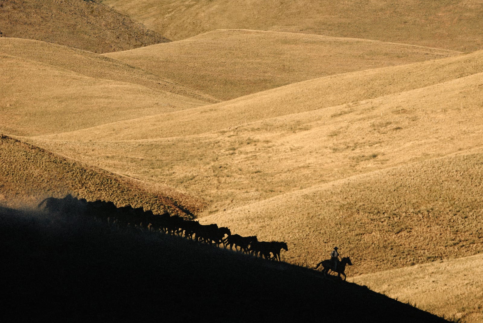 Norm Clasen, Silhouette Ridge, Perma, MT, 1987