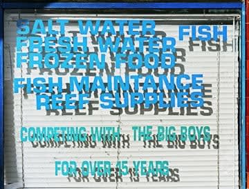 John Lehr, Gibberish, 2010