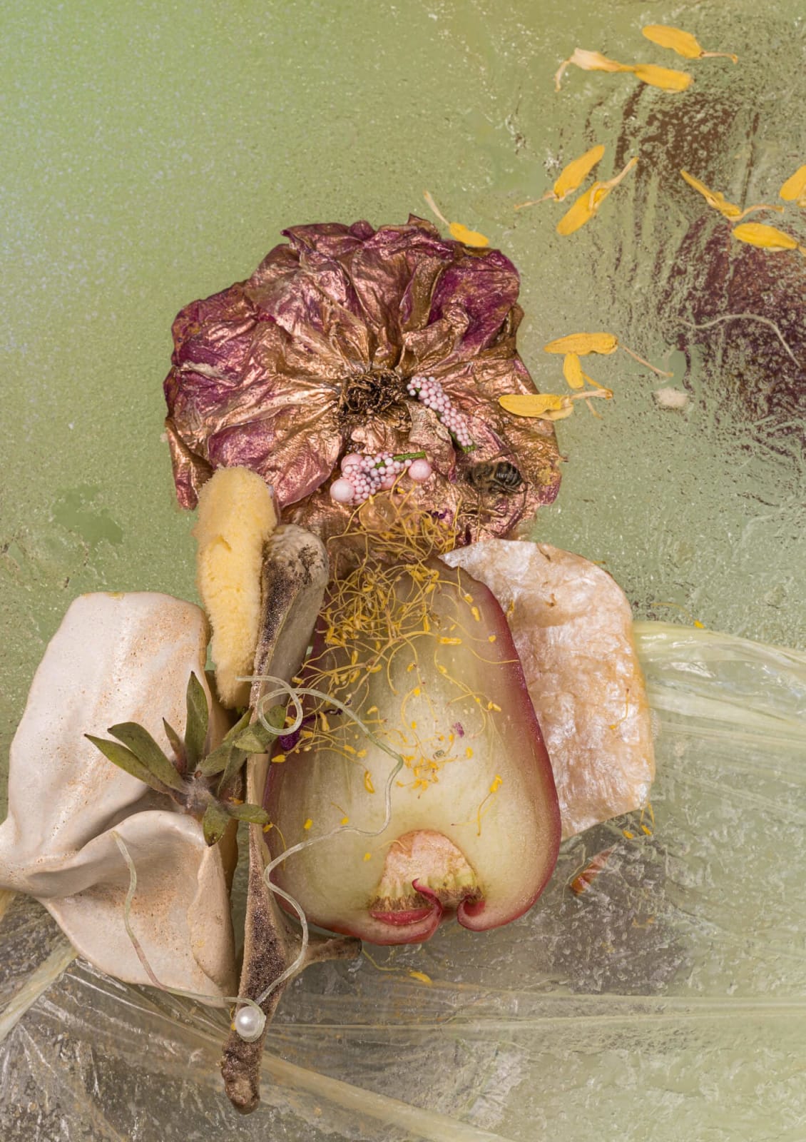 Michelle Bui, Bone, silk sea sponge, (...), 2023