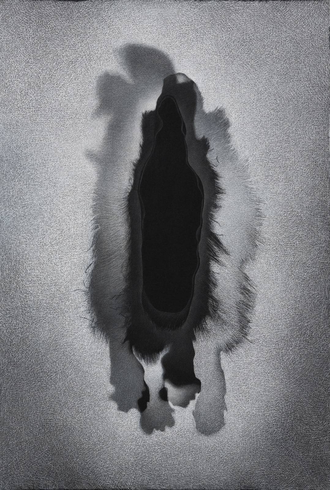 Lorraine Simms, Lepus Arcticus (Arctic hare, winter fur, AMNH #42061), 2018