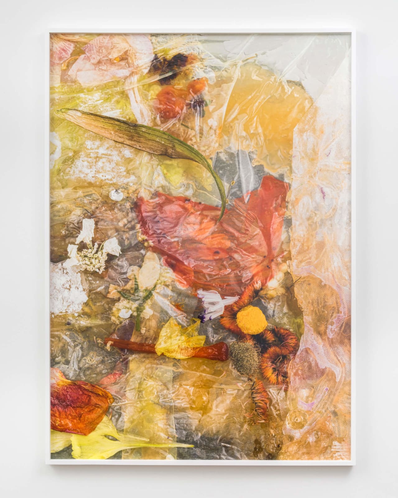 Michelle Bui, Dried orchid, peach flesh, (...), 2023