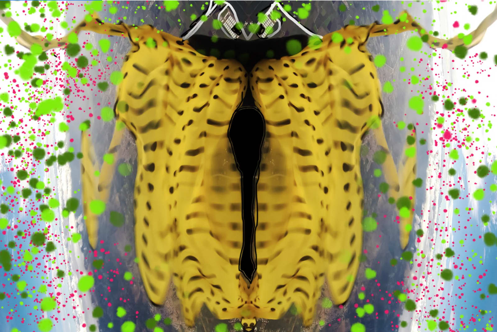 Malika Sqalli, The Beetle