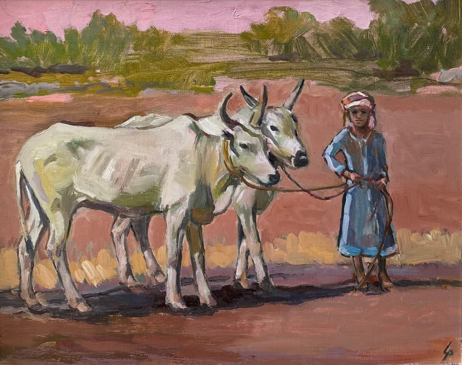 Lucy Poett ARBS, Oxen