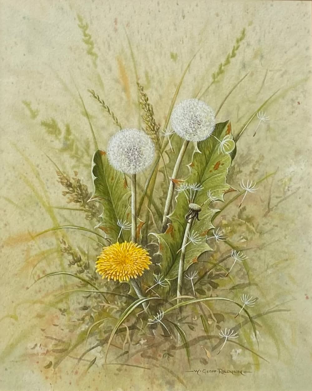 Geoff Rollinson, Dandelions