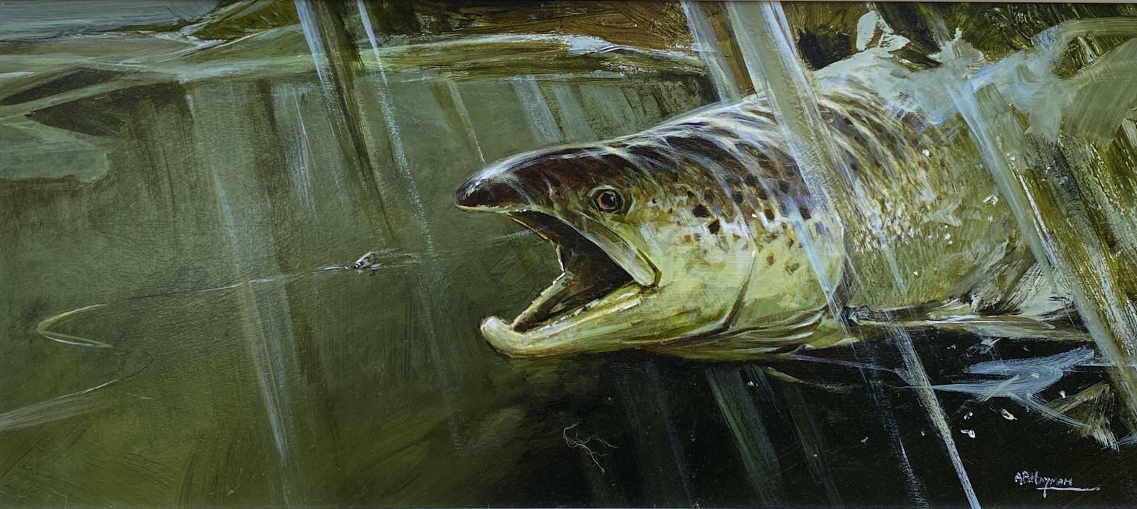 Alan B Hayman, Autumn Salmon