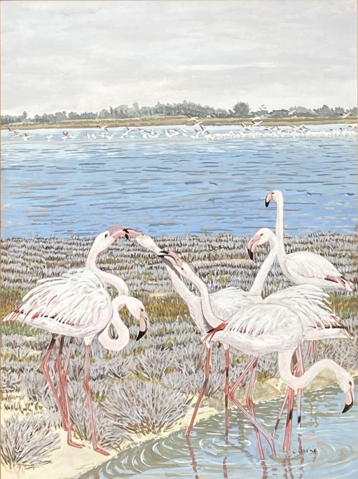 Carol Ogilvie, Set of Six Originals for the book: Flamingos