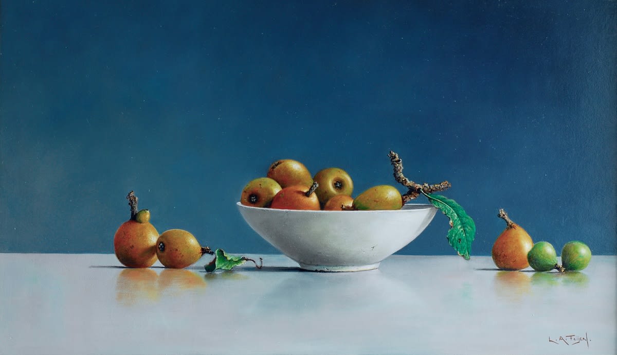 Lion Feijen, Nisperos