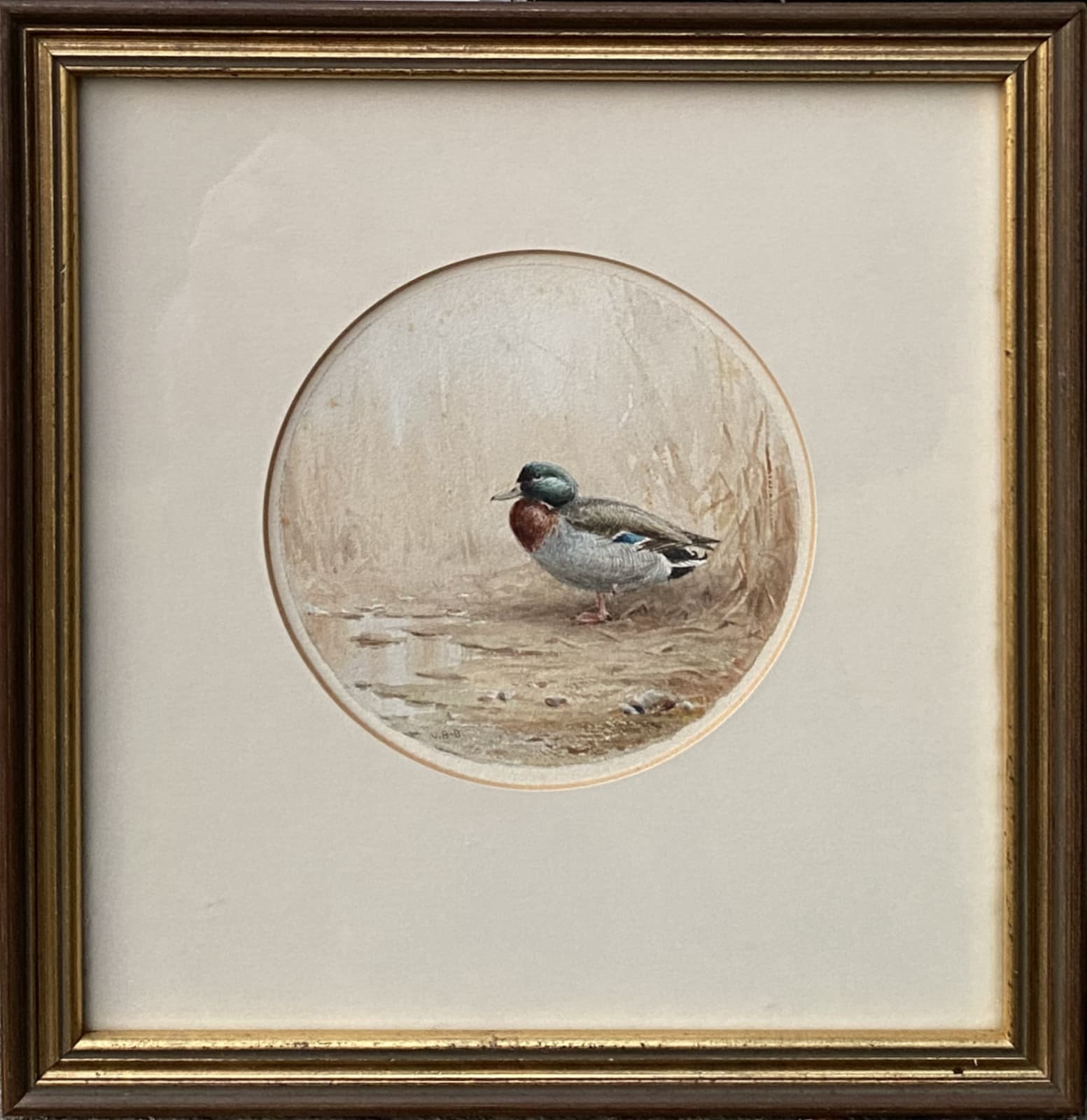 Vincent Robert Stewart Ramsey Balfour-Browne, Set of Four Spyglass Studies: Pheasant, Partridge, Grouse, Mallard