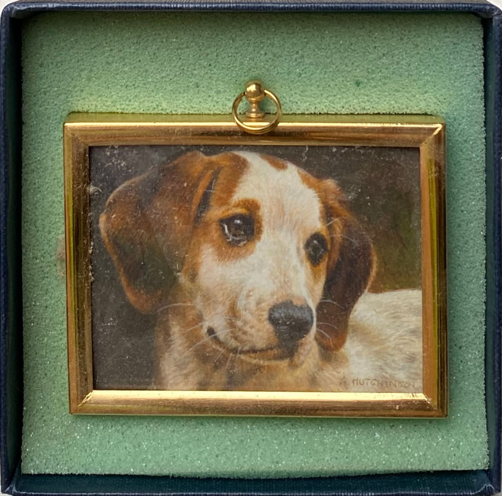 Andrew Hutchinson RMS, Beagle Pup, 2022