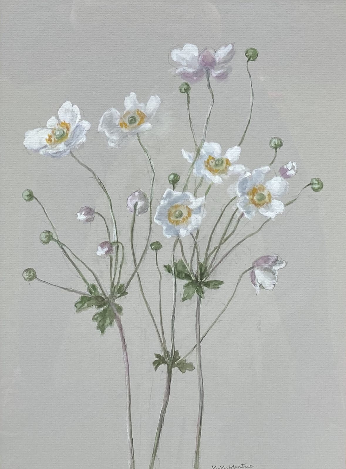 Mary McMurtrie, Japanese Anemones