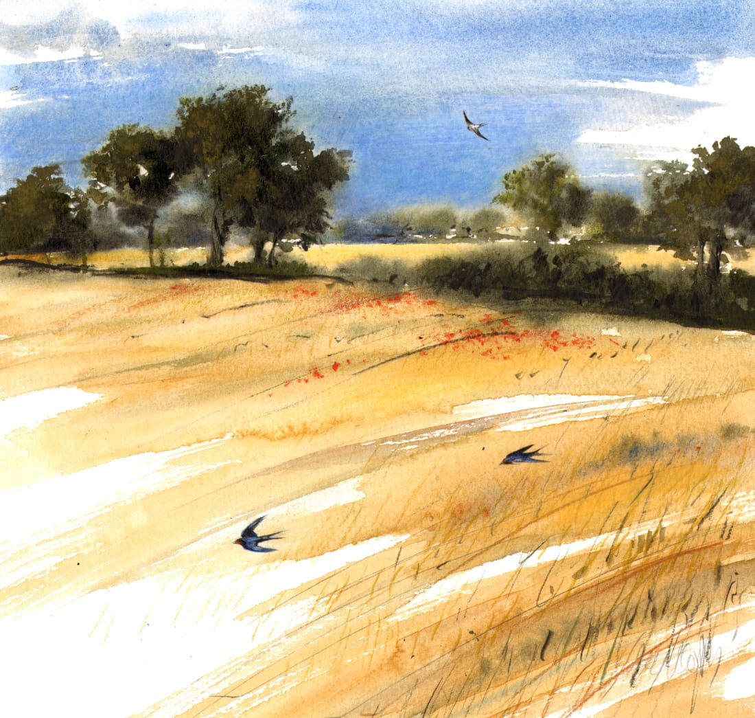 Lucy Newton, Three Swallows