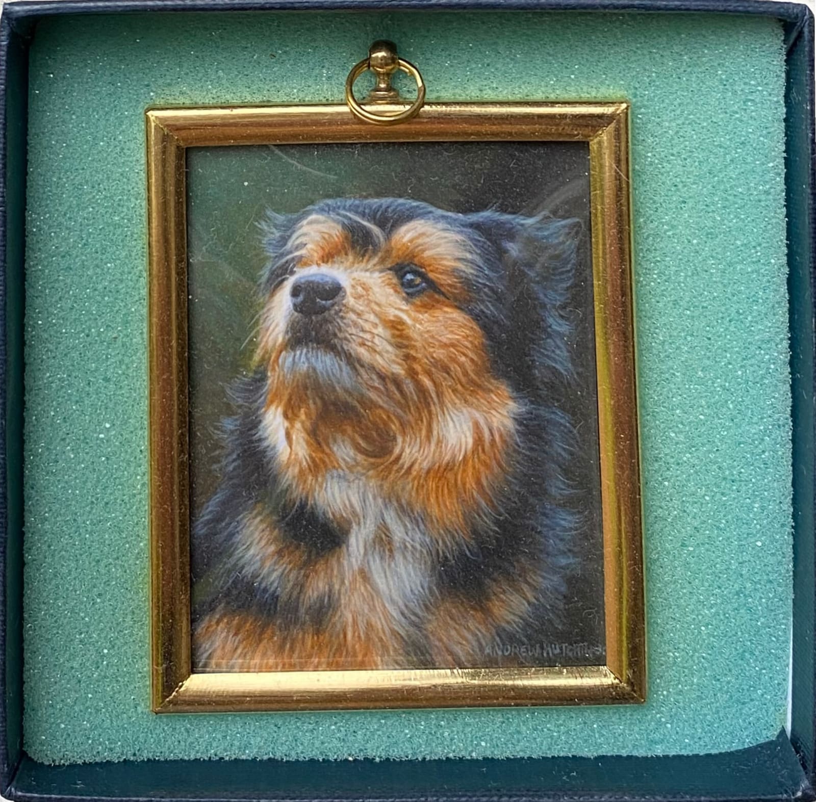 Andrew Hutchinson RMS, Dog Portrait, 2022