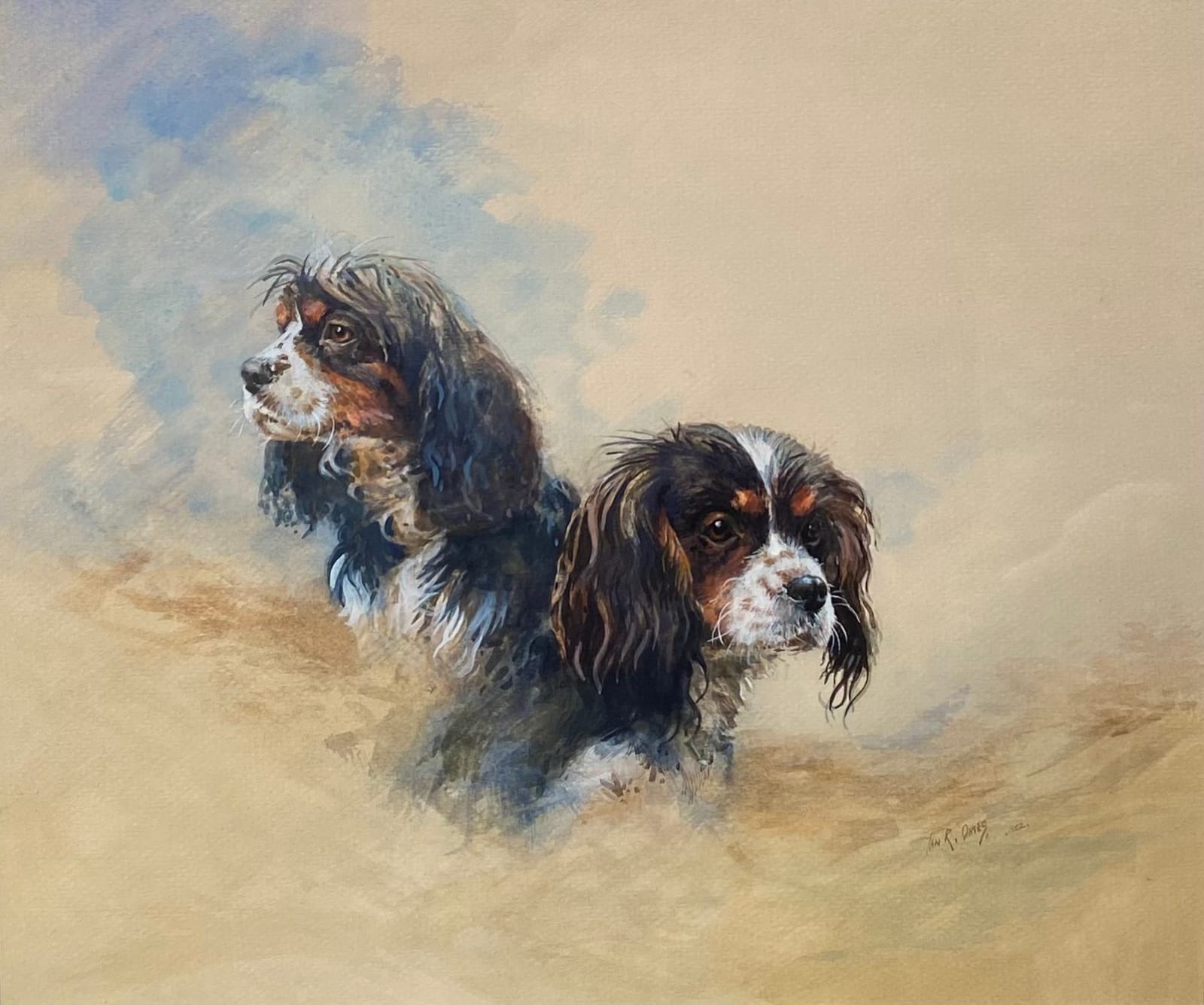 Ian Oates, Spaniel Studies