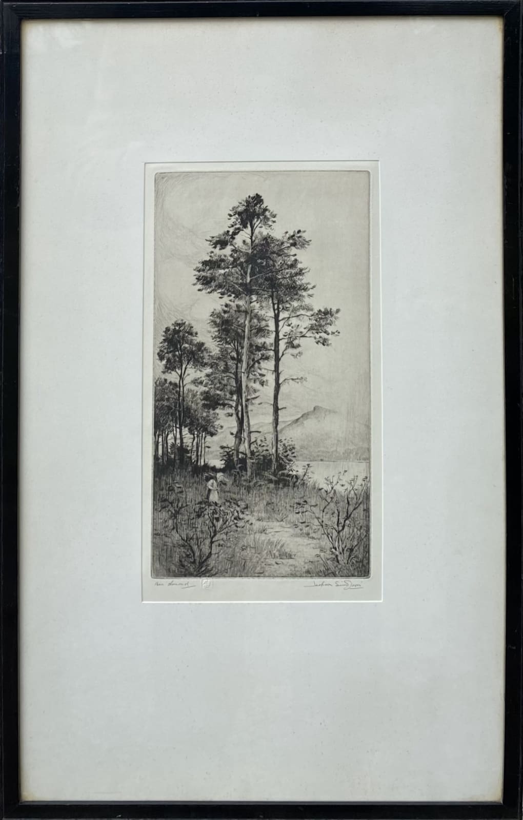 Henry Jackson Simpson MC, Ben Lomond