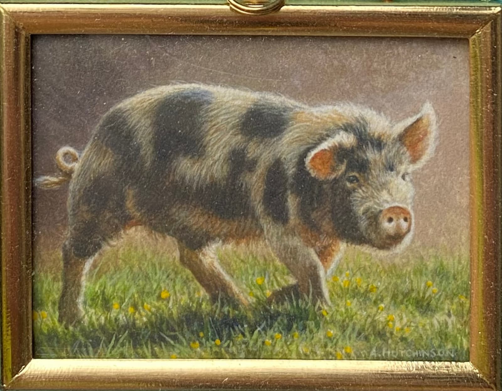 Andrew Hutchinson RMS, Old Spot Pig, 2022