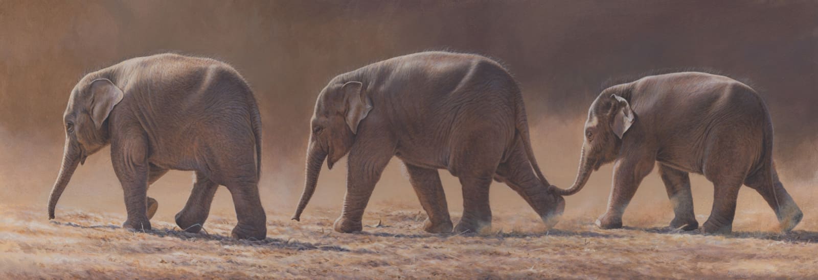 Andrew Hutchinson RMS, Leader of the Pachyderm Asian Elephants, 2023