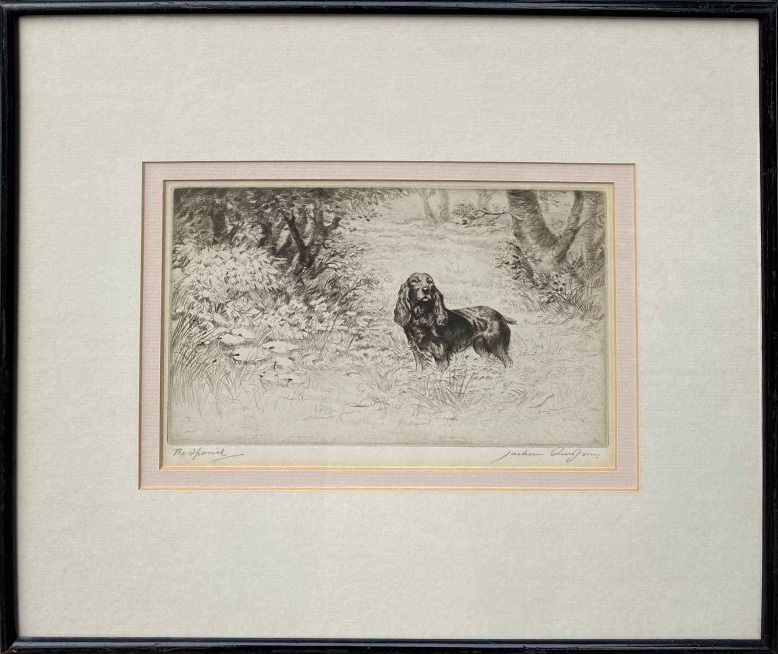 Henry Jackson Simpson MC, The Spaniel