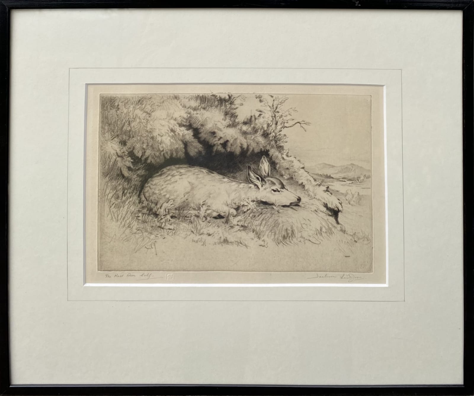 Henry Jackson Simpson MC, The Red Deer Calf