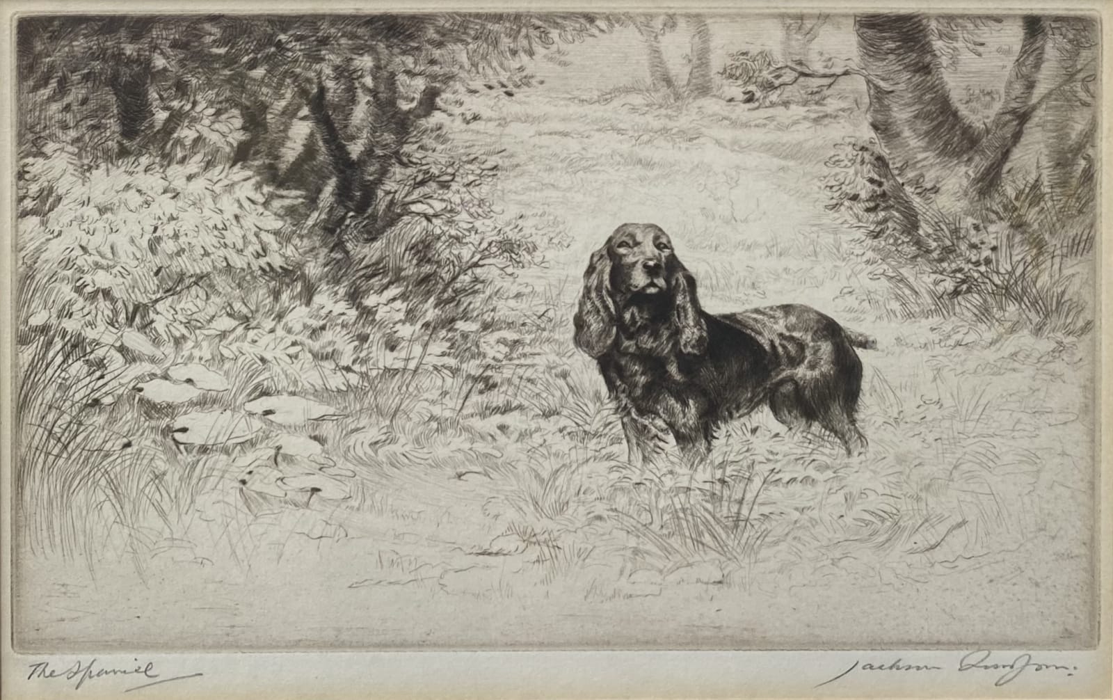 Henry Jackson Simpson MC, The Spaniel