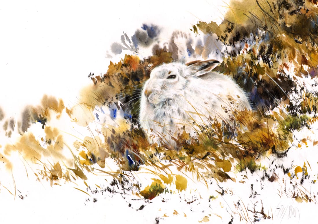 Lucy Newton, Mountain Hare