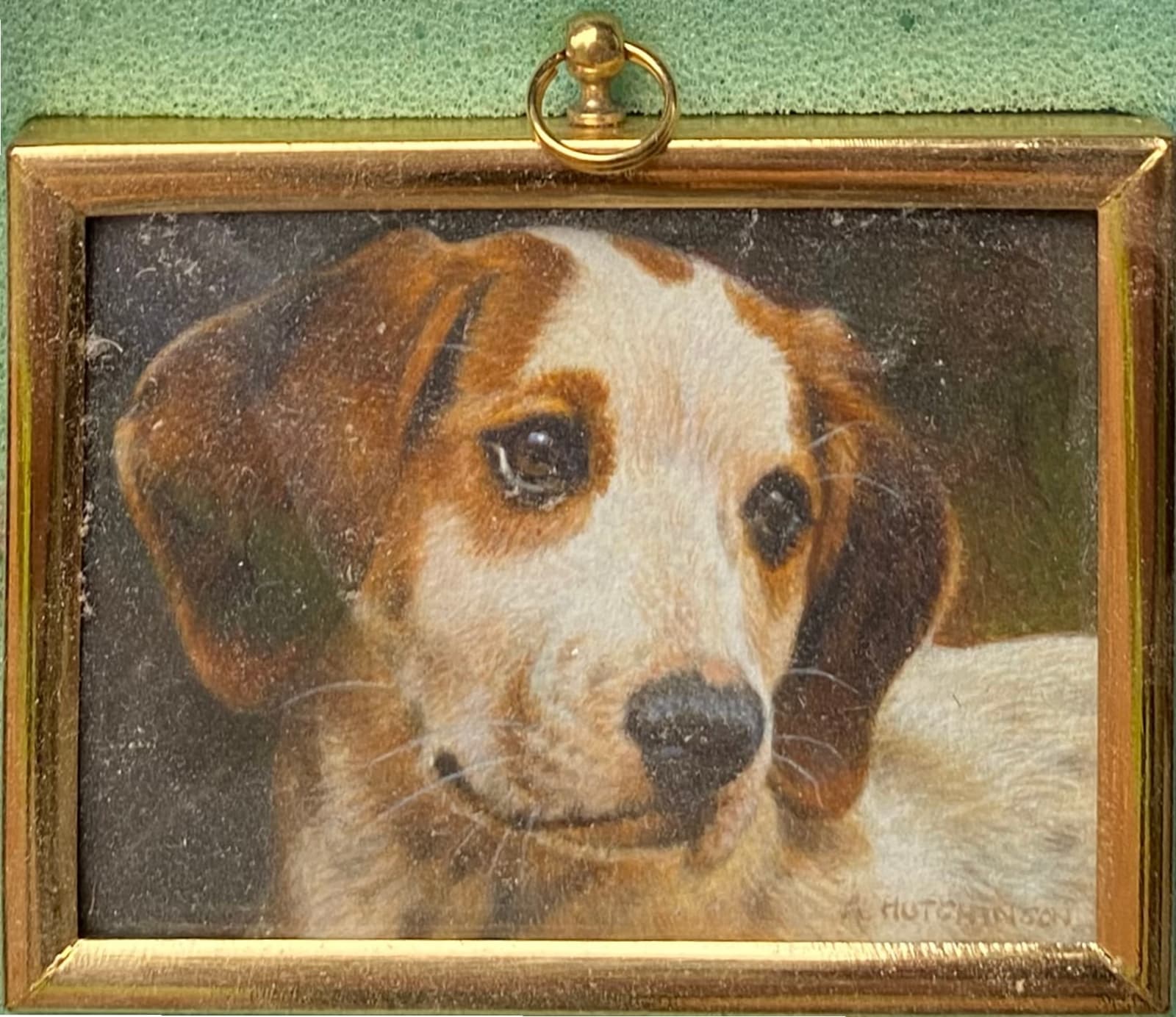 Andrew Hutchinson RMS, Beagle Pup, 2022