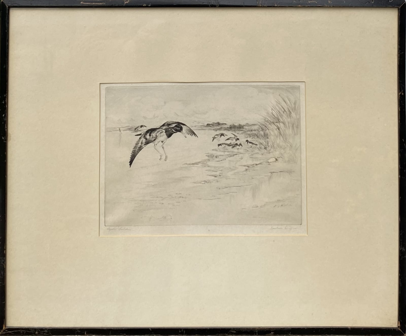 Henry Jackson Simpson MC, Oyster Catchers