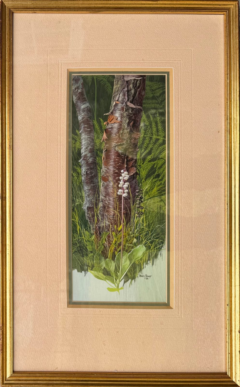 James Renny, Wintergreen, 1984