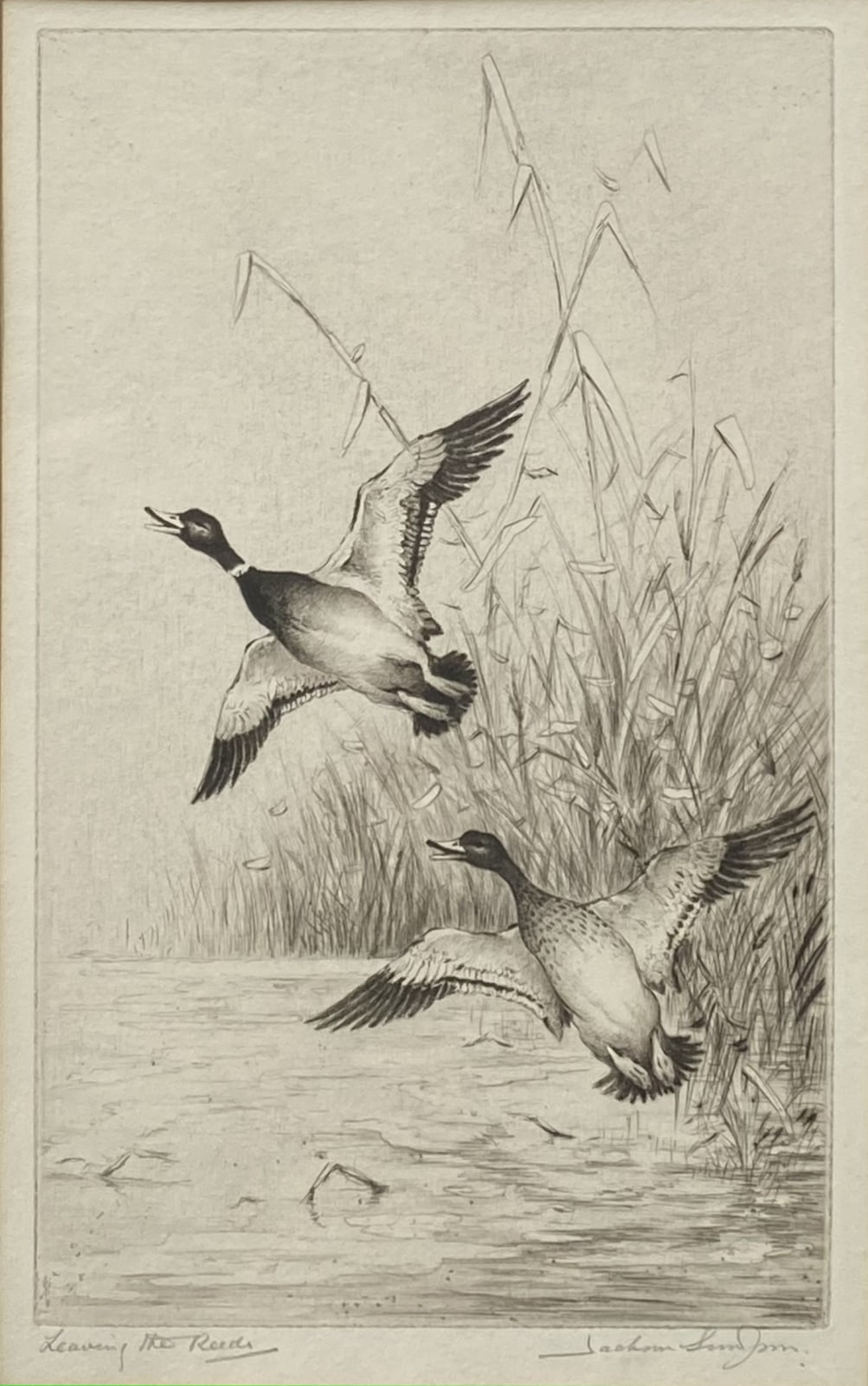 Henry Jackson Simpson MC, Leaving the Reeds