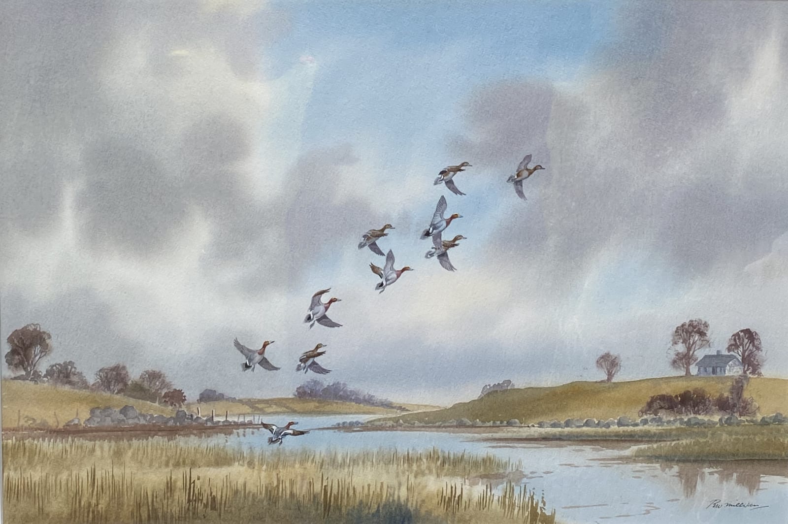 Robert Milliken, Wigeon, Strangford Lough