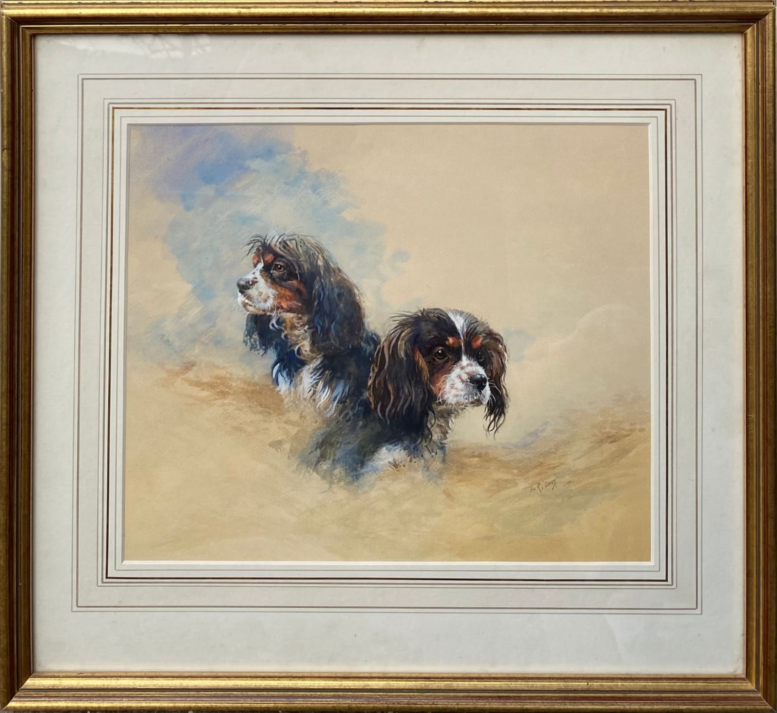 Ian Oates, Spaniel Studies