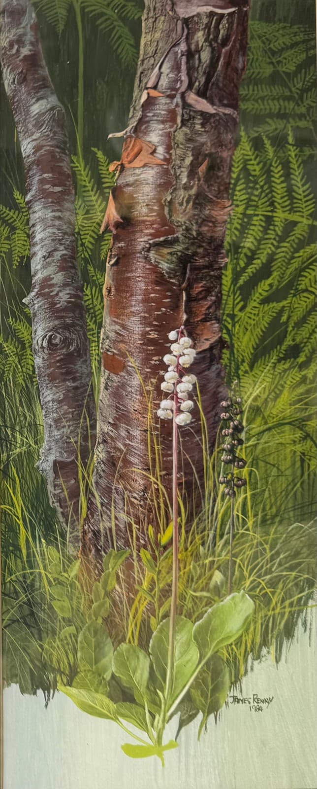 James Renny, Wintergreen, 1984