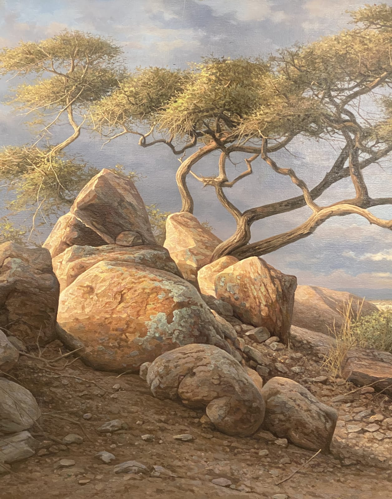 Dick van Heerde, Africa