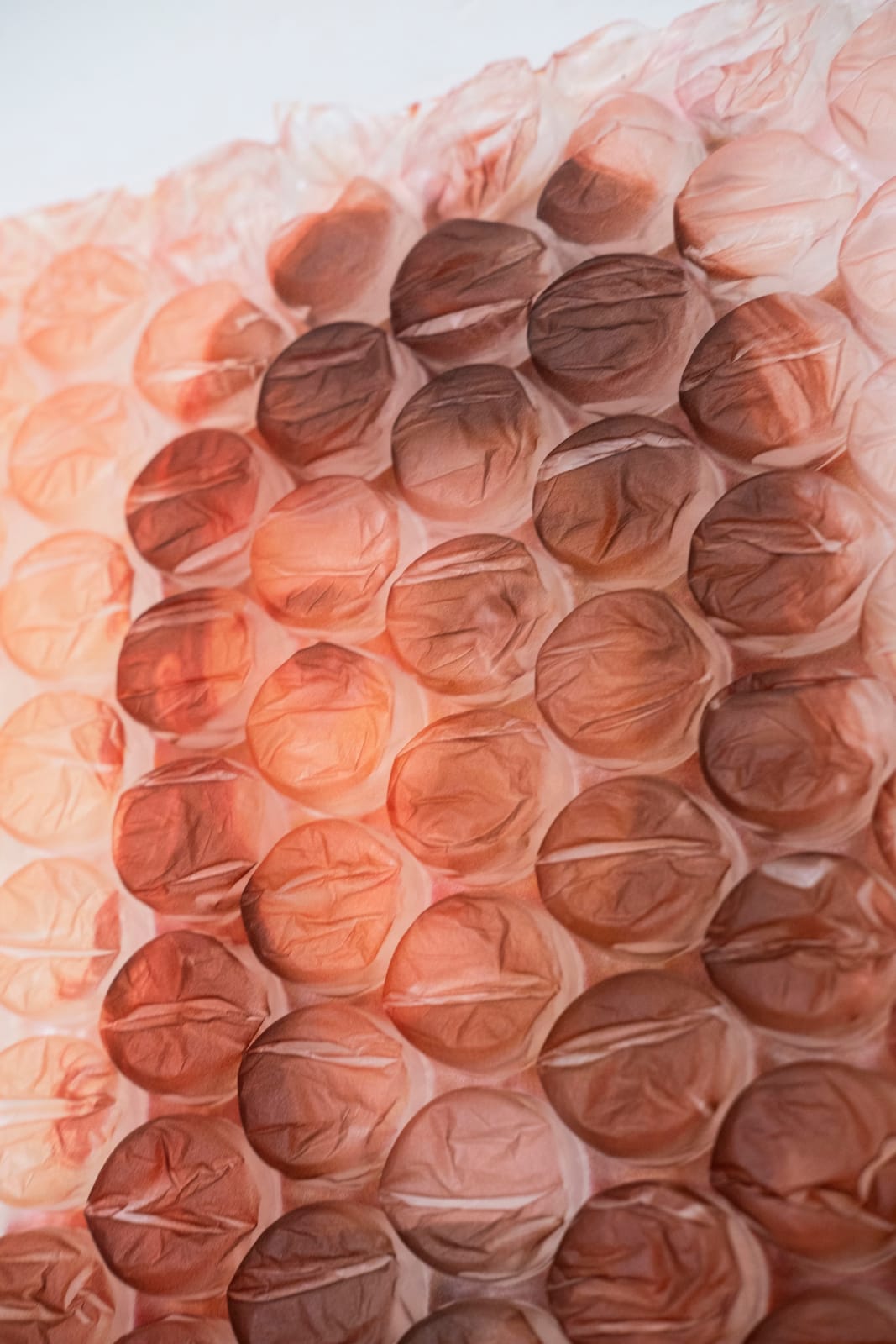 Rosie Clements, Blushing, 2024