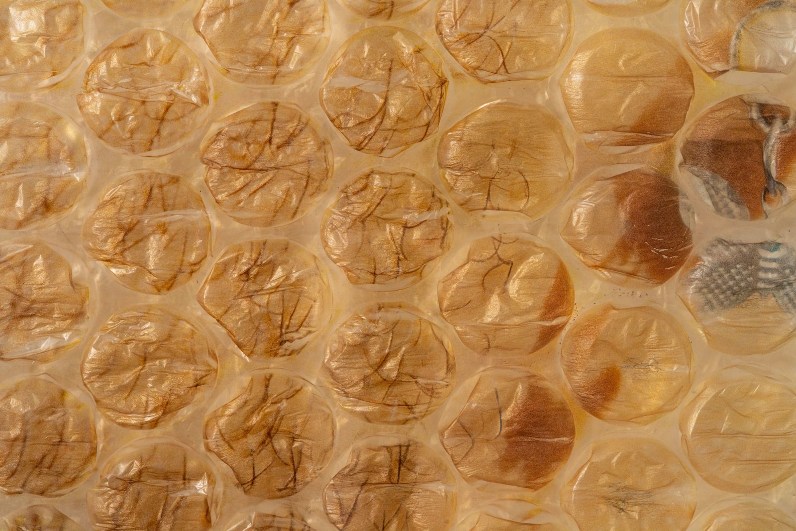 Rosie Clements, Butterfly Earring, 2024