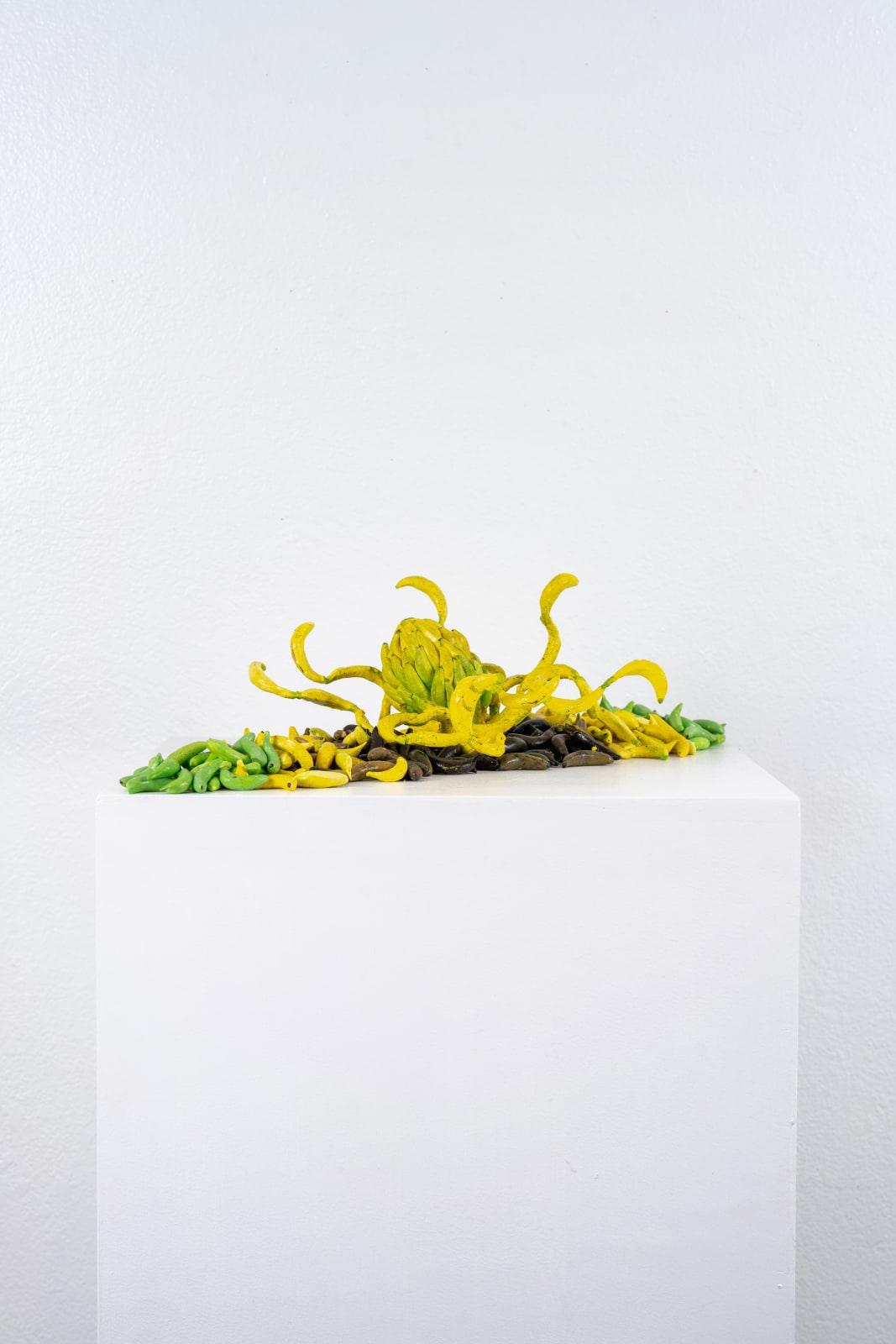 Audrey Rodriguez, El Pulpo, 2023