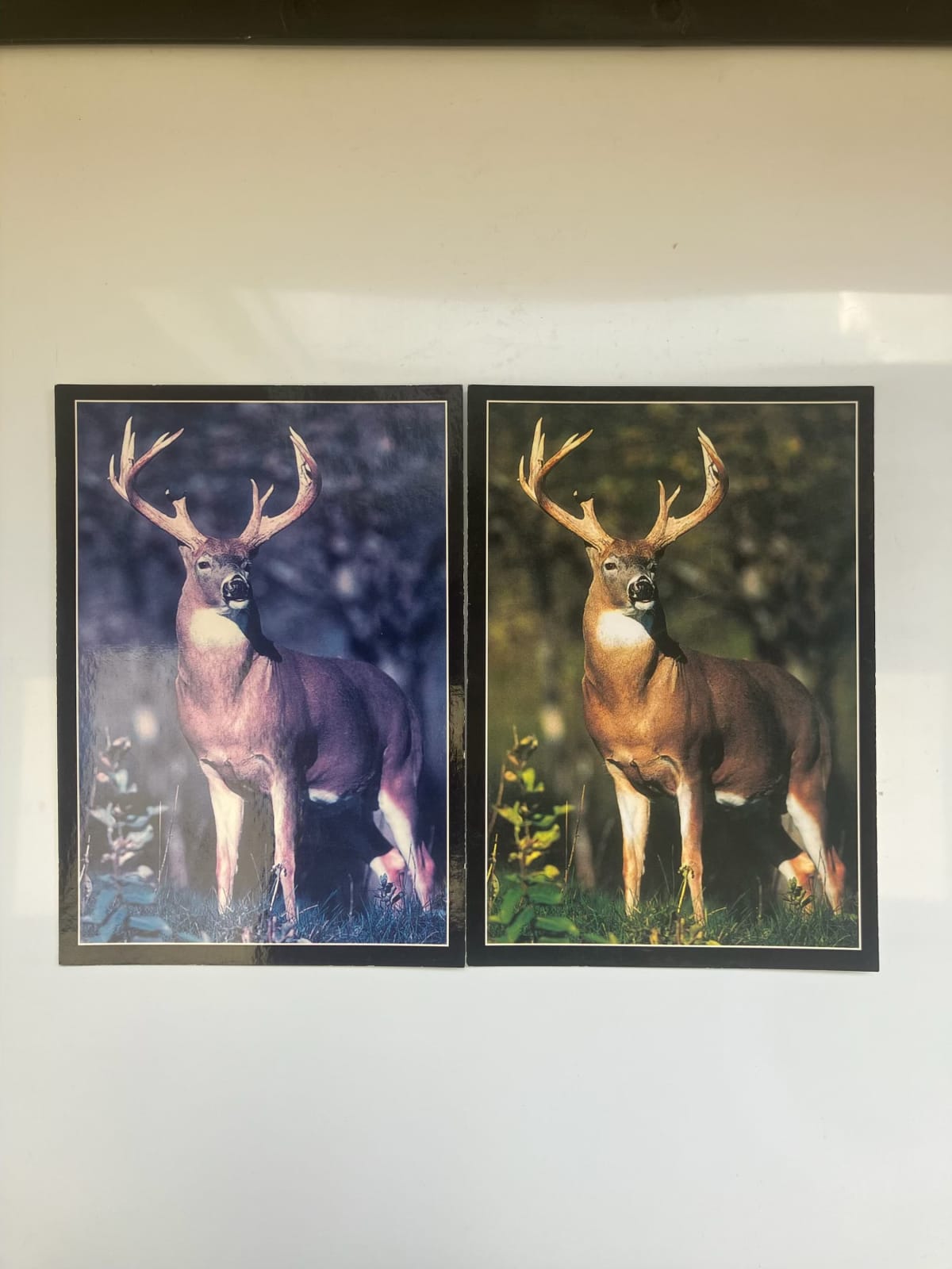 Nathan Anthony, Holidays in the Sun II, 2025