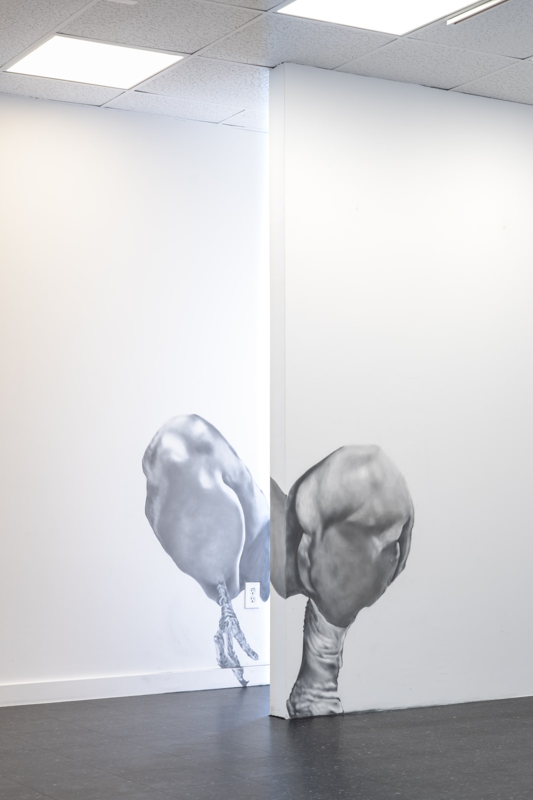 Selina Wagner, Pilates, 2025