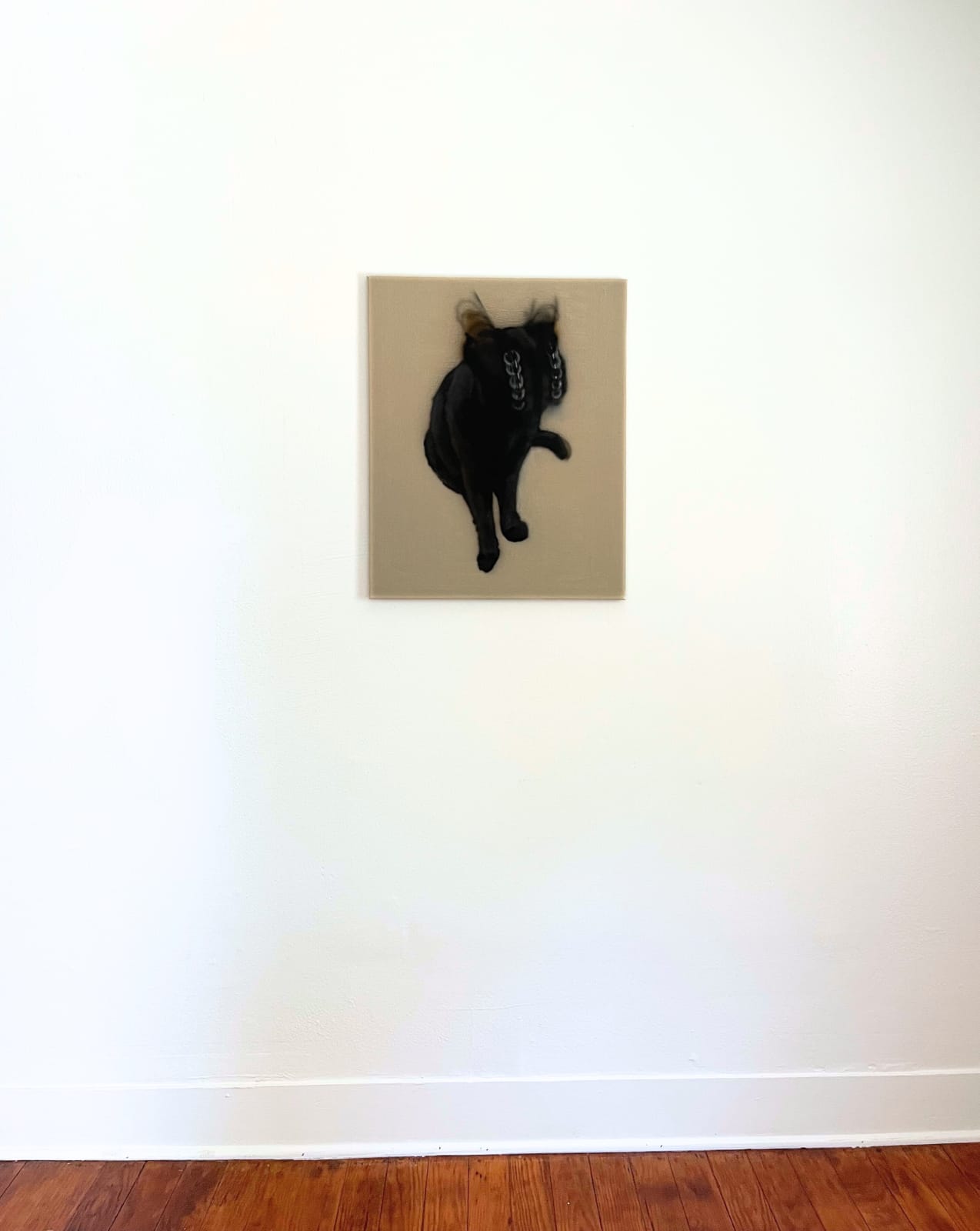 Patrick Quinn, Cat #6, 2023