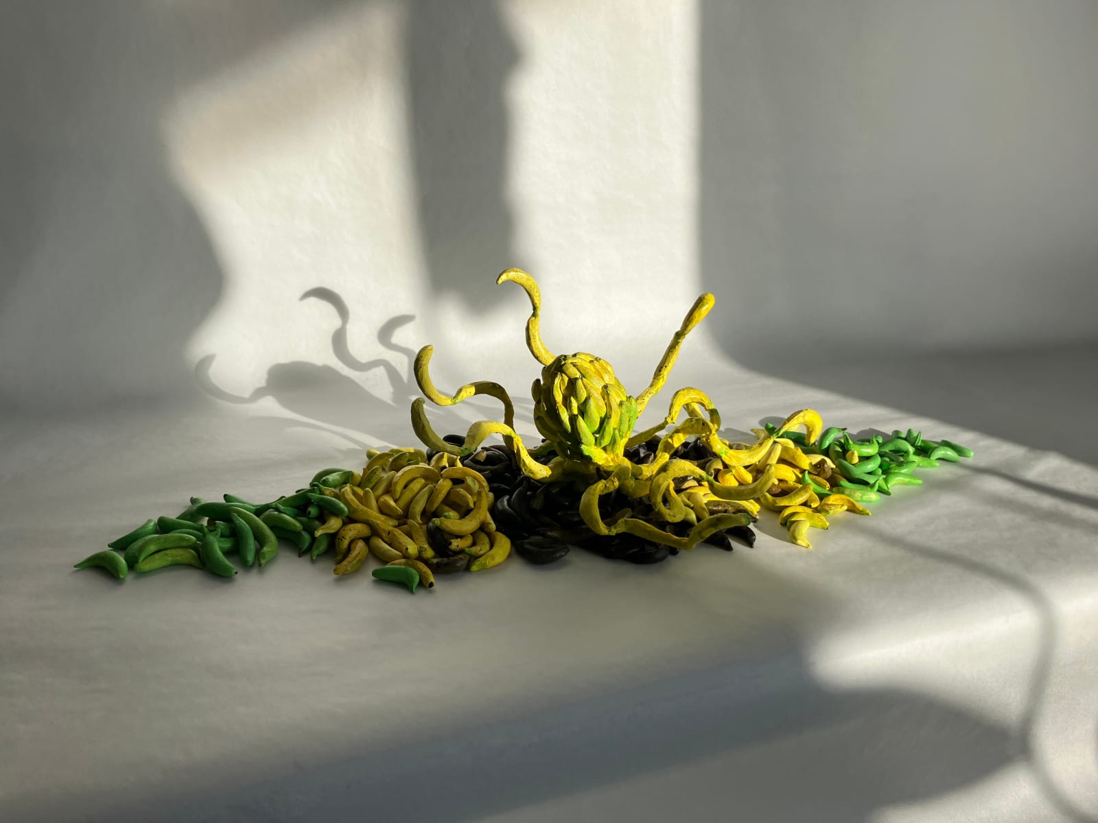 Audrey Rodriguez, El Pulpo, 2023