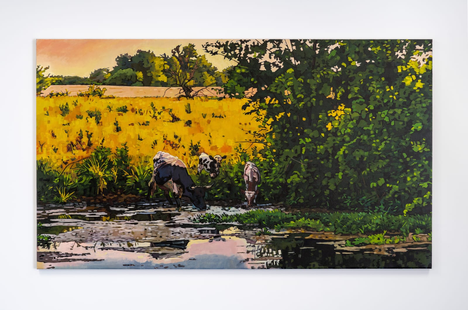 Slater Reid Sousley, Beehive Pond, June 23, 2022, 2023